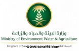 “البيئة” تؤكد عدم صدور قرار بفرض رسوم على استهلاك مياه الآبار في المزارع