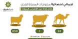 بلدية محافظة طريف تعلن إحصائية الذبح في المسلخ البلدي التابع لها