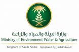فرع وزارة البيئة والمياه بالشمالية يعلن عن رغبته في استئجار مبنى في طريف