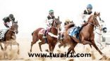 المجلس التأسيسي لنادي الفروسية بطريف ينظم سباقاً للخيول بمناسبة اليوم الوطني88